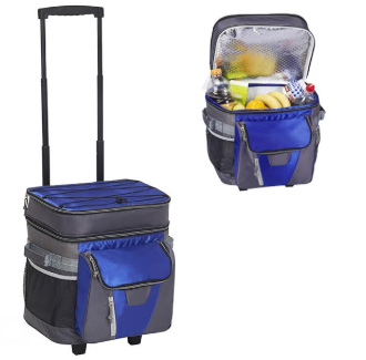 ציידנית טרולי