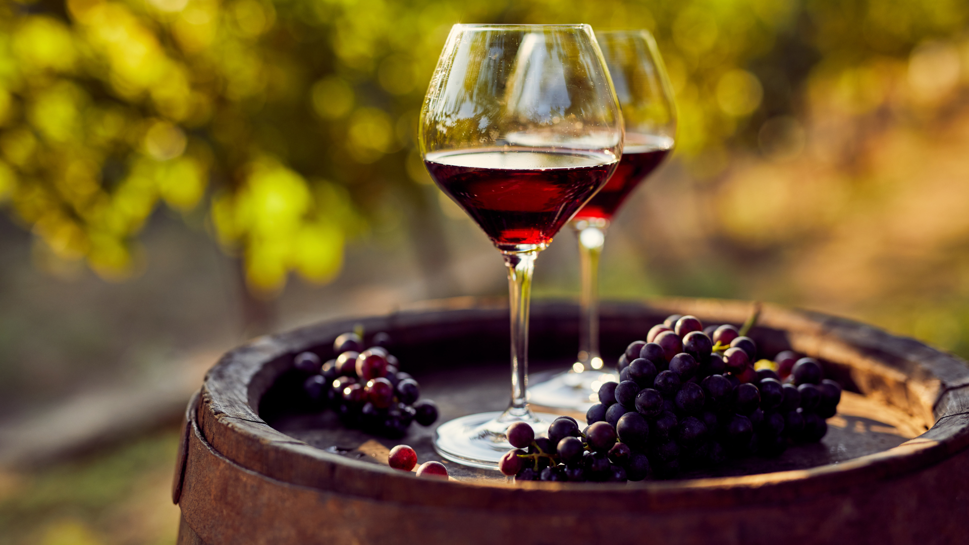 Glass of red wine with berries and grapes, vineyard backdrop.
