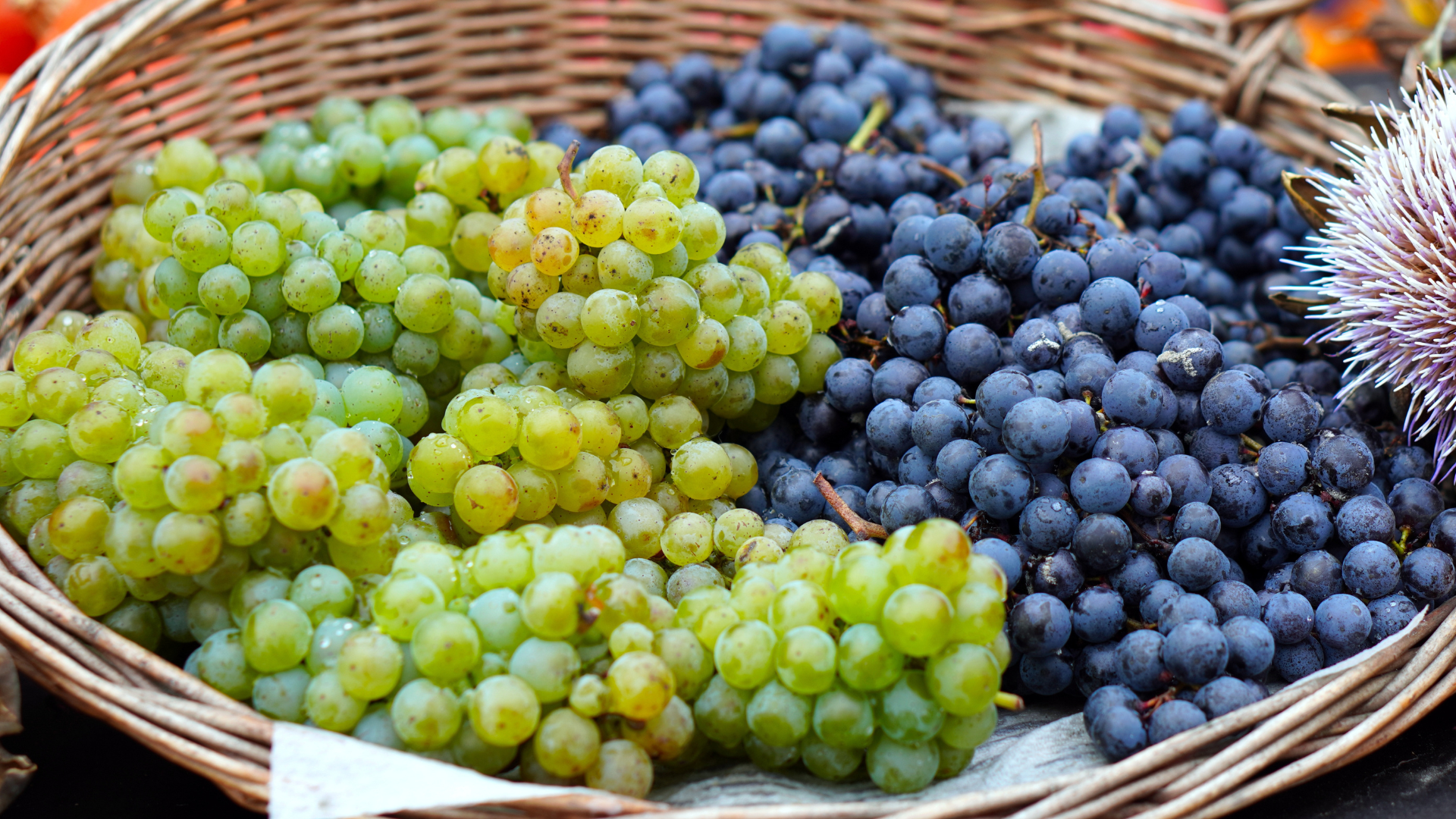 Green and purple grapes in a wicker basket.