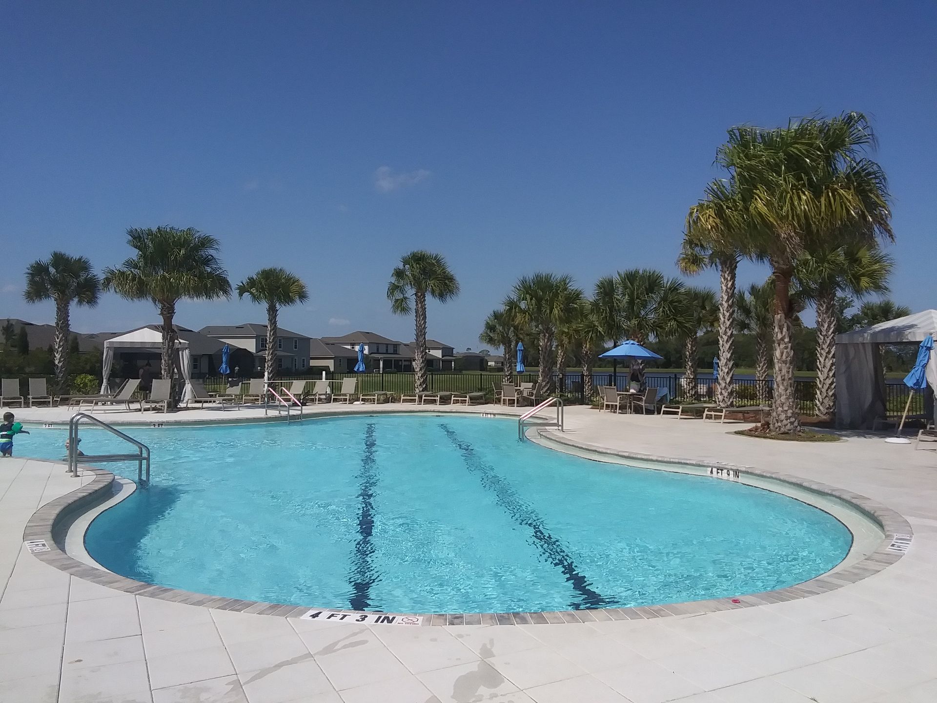 Swimming pool with blue water, palm trees, and lounge chairs on a sunny day.