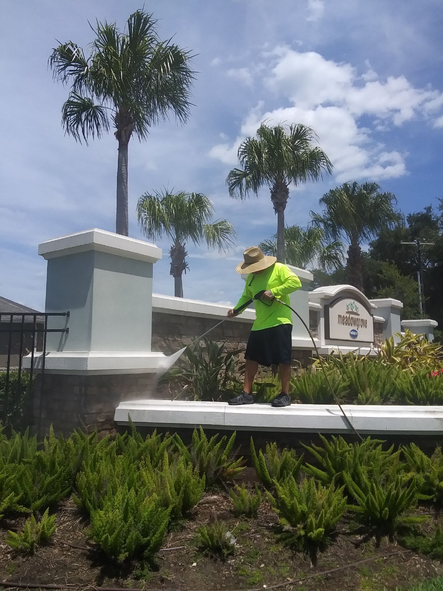 Man power washing a low wall with plants, in front of a sign and palm trees under a blue sky.