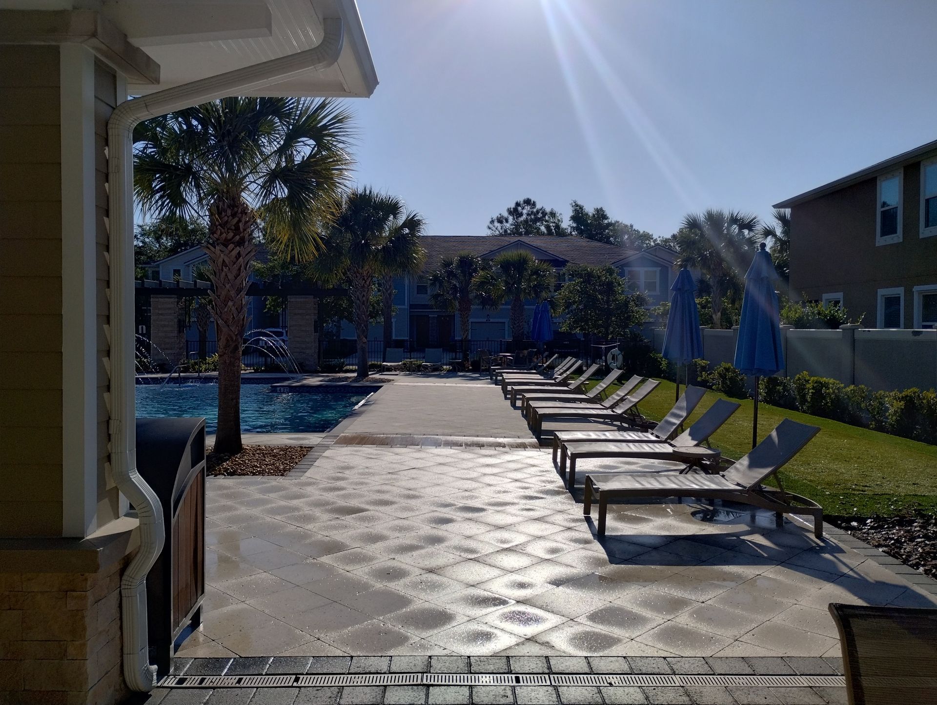 Poolside scene with lounge chairs, umbrellas, and palm trees under a sunny sky.