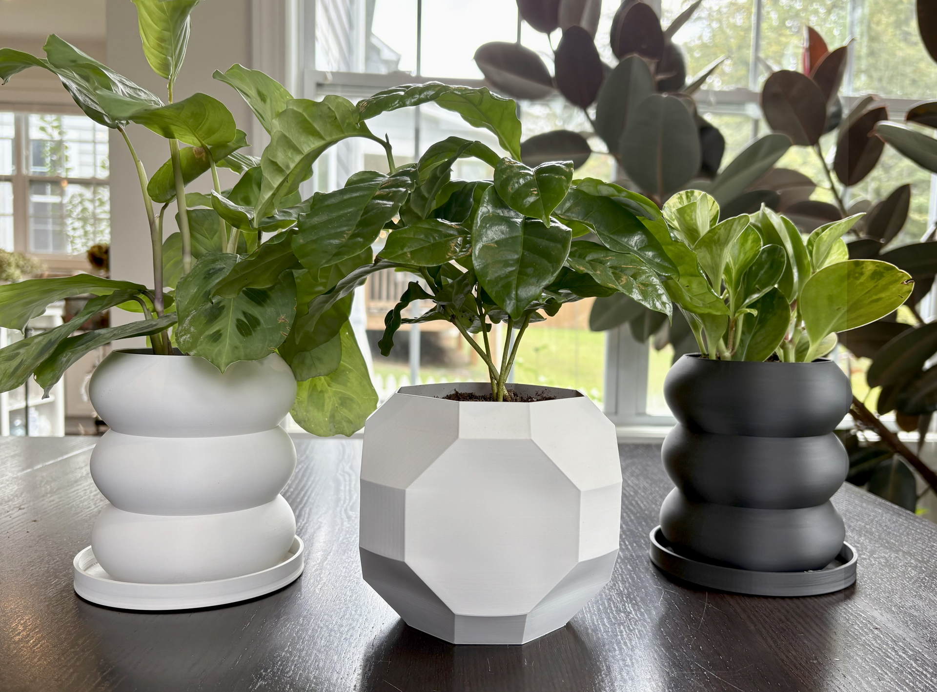 Three potted plants on a table: white, geometric, and black pots.