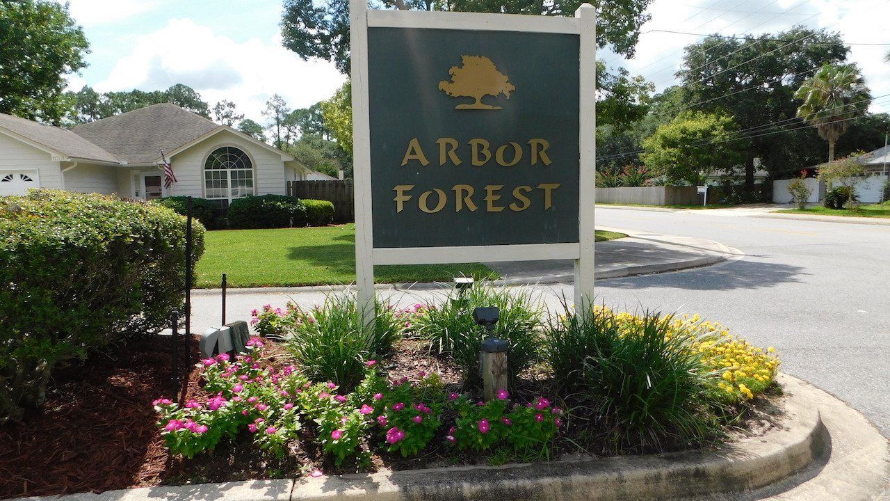 Arbor Forest