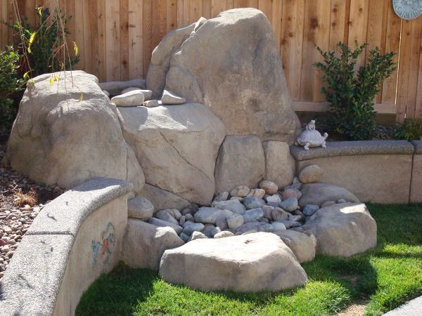 A turtle is sitting on a rock in a garden