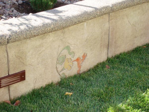 A concrete wall with a hummingbird painted on it