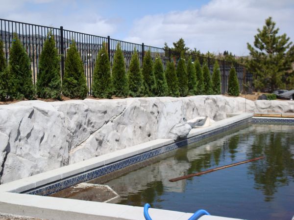 A large swimming pool surrounded by trees and a fence