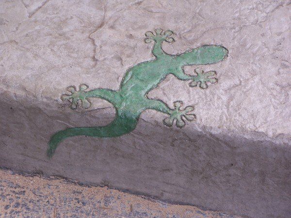 A green lizard is painted on a wall