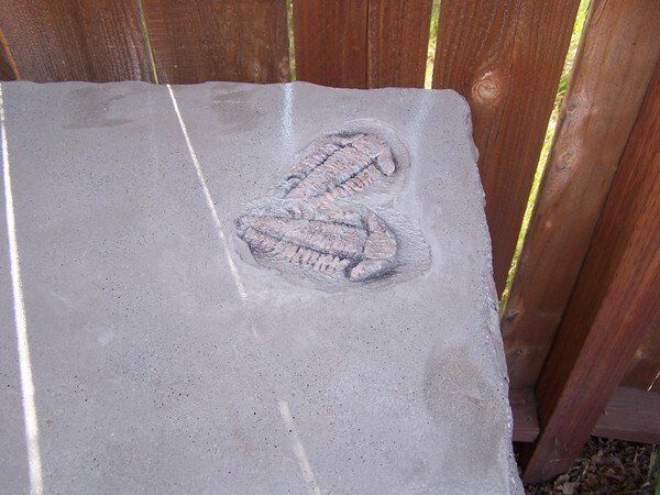 A shoe print on a concrete surface next to a wooden fence