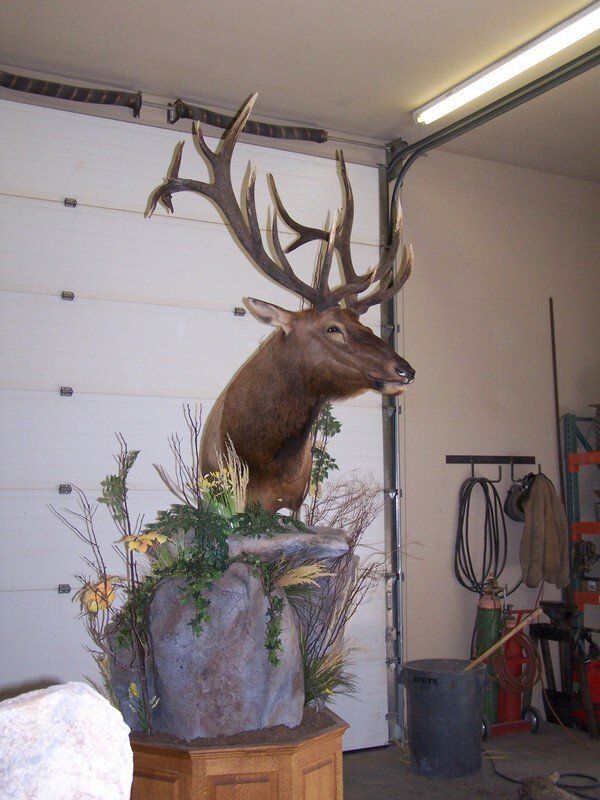 A statue of a deer hanging from a garage door