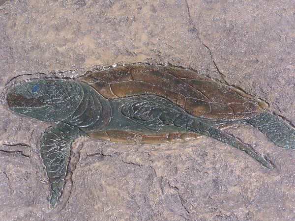 A turtle is carved into the side of a rock