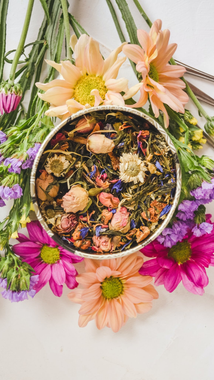 foto de plantas medicinais