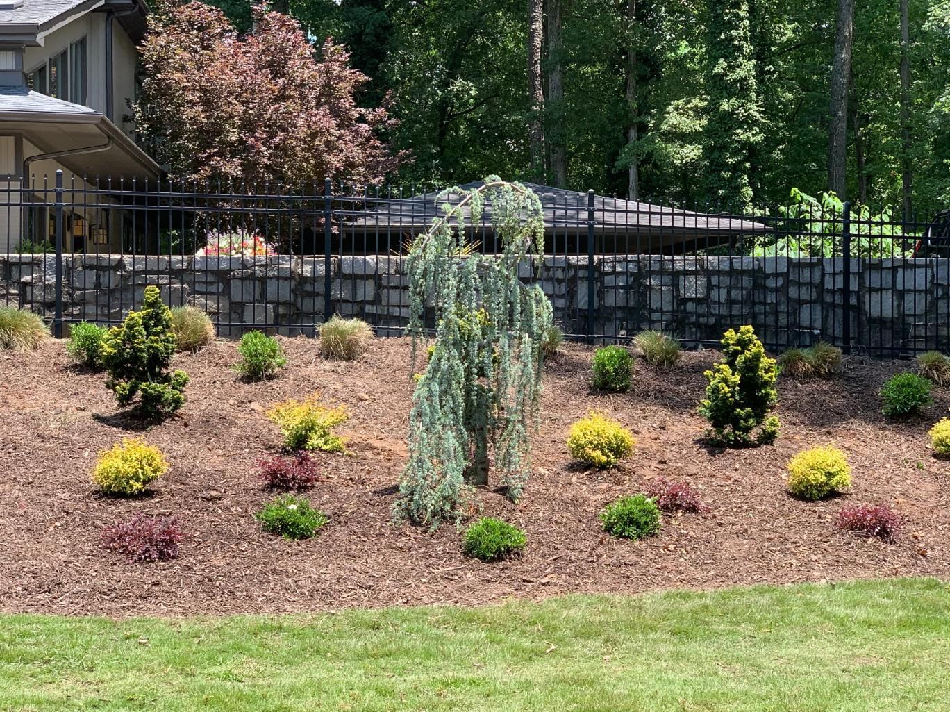 A lush green lawn with a stone wall in the background