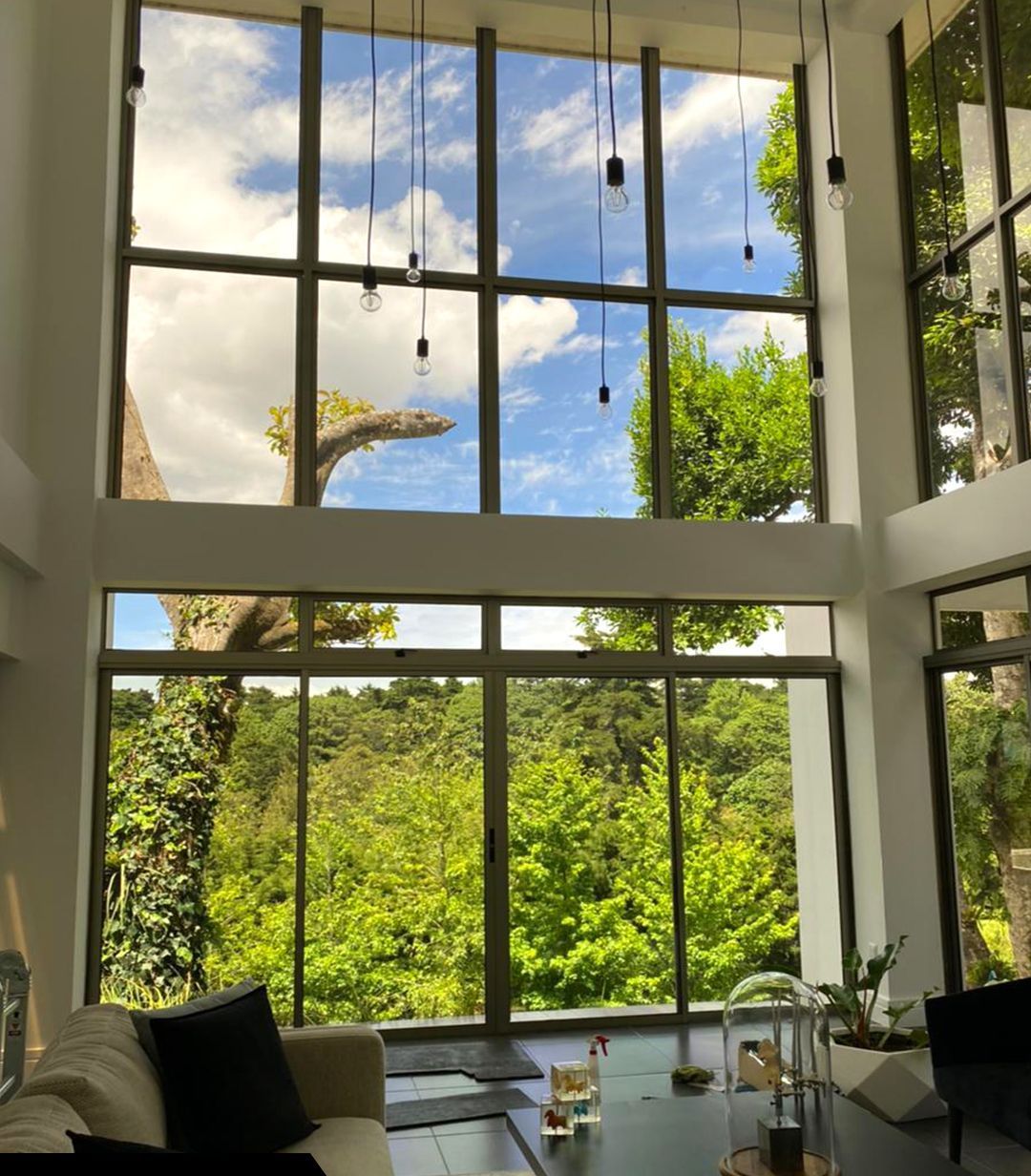 Residential Window Tinting