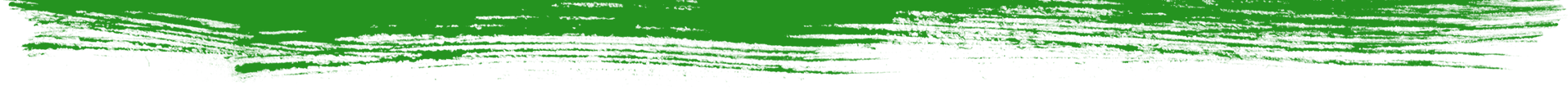 Green and white patterned design, possibly a background or decorative element.