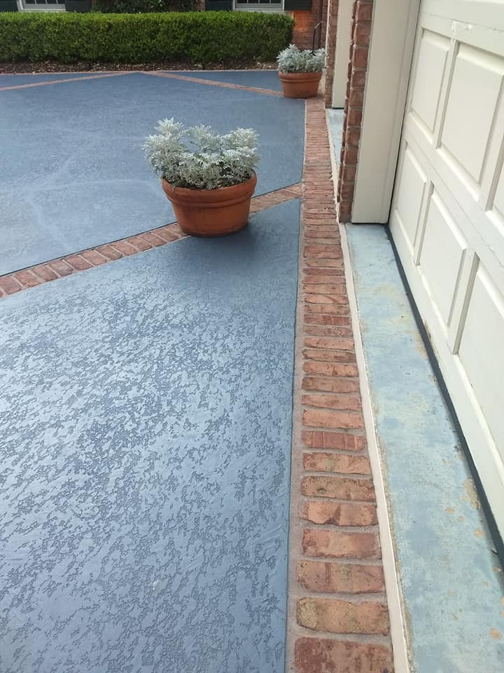 A potted plant is sitting on a concrete driveway next to a garage door.