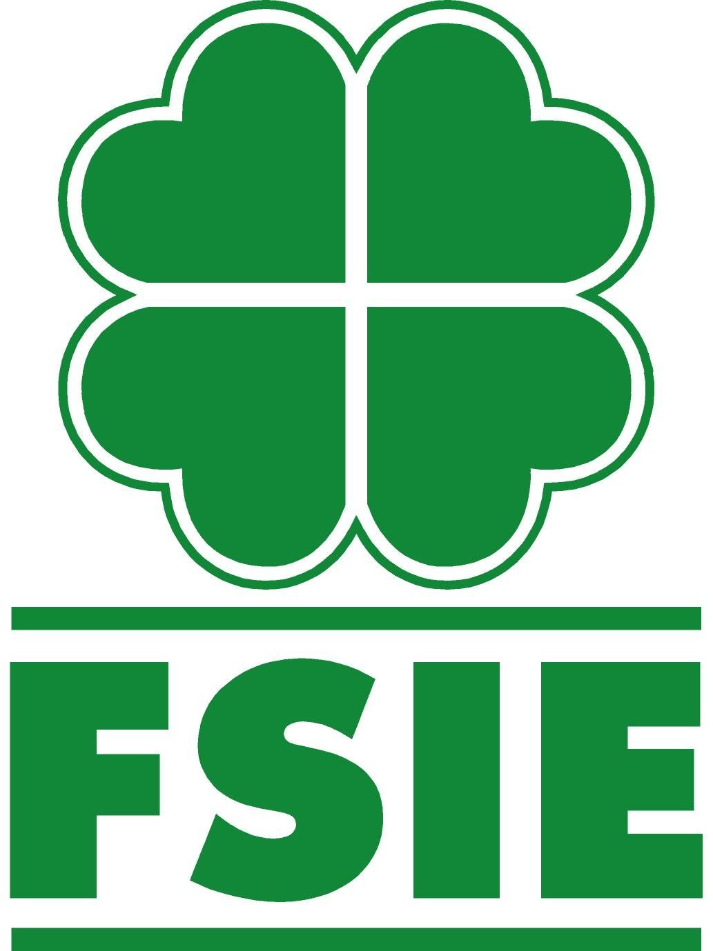 FSIE logo empresa colaboradora con SecuriBath
