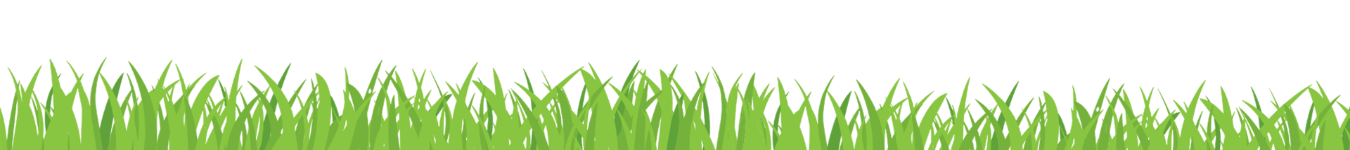 Green grass against a white background.