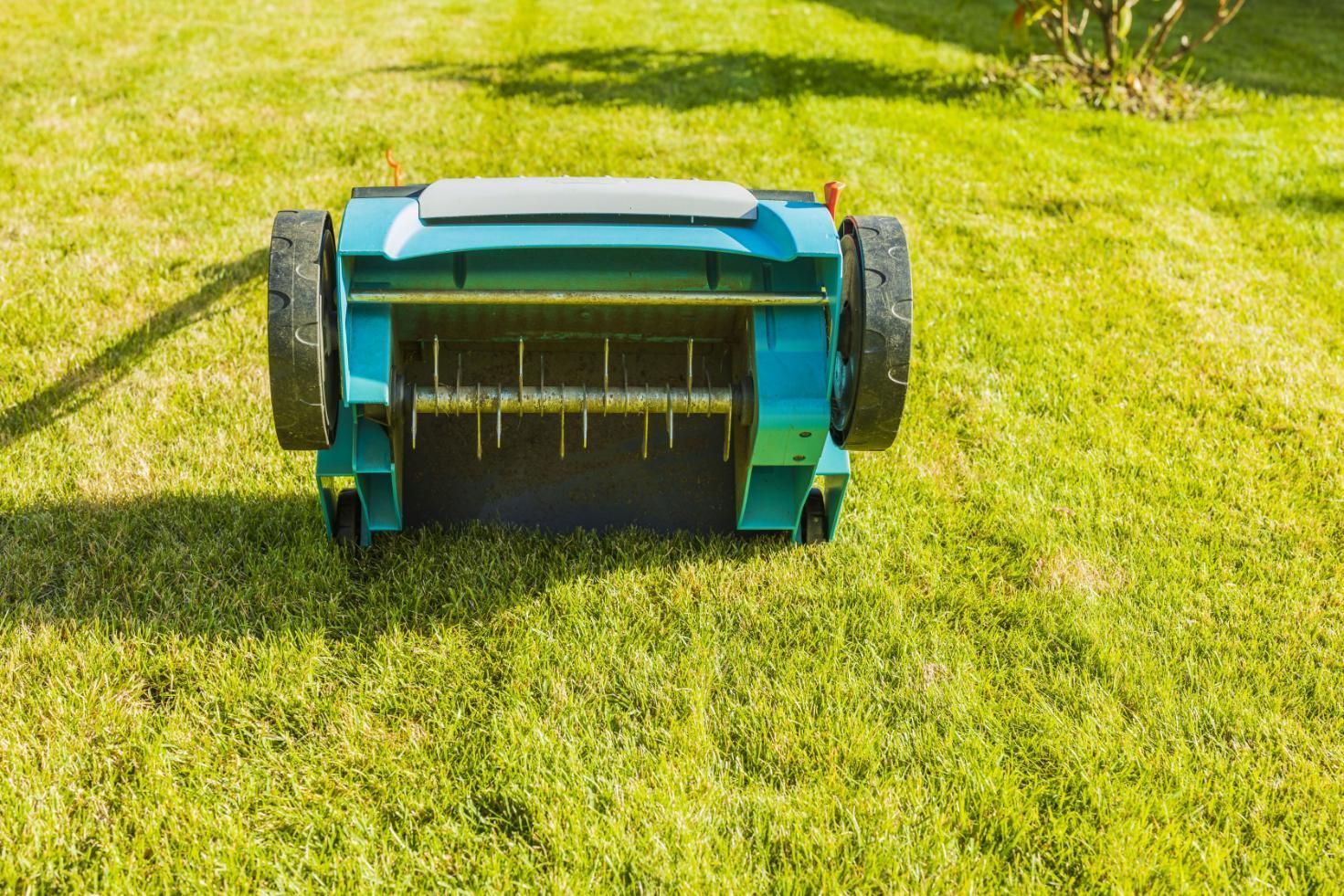 Teal lawn aerator on green grass, preparing the lawn.