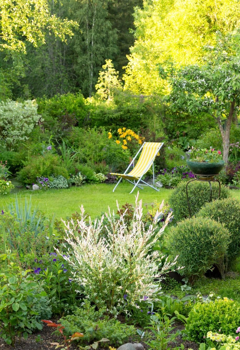 Lush garden scene with a yellow lounge chair on a green lawn; various shrubs and trees.