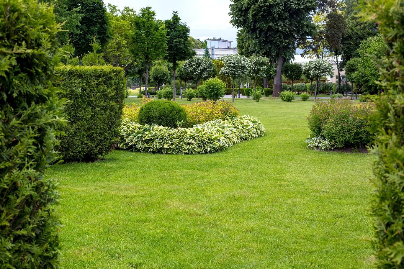 Lush green lawn with trimmed shrubs and trees in a park setting.