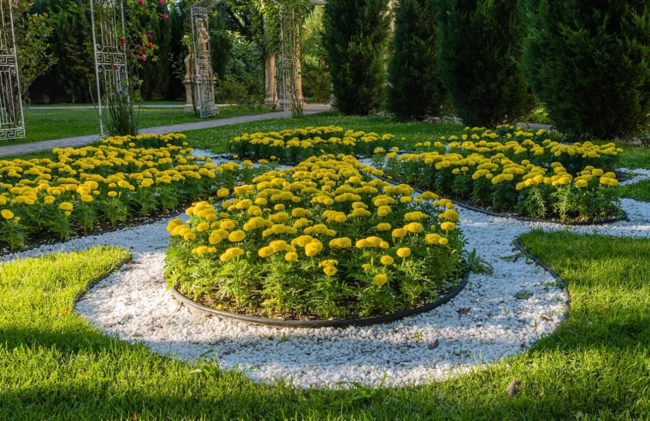 Yellow flowers in circular beds surrounded by white pebbles, lush green lawn.