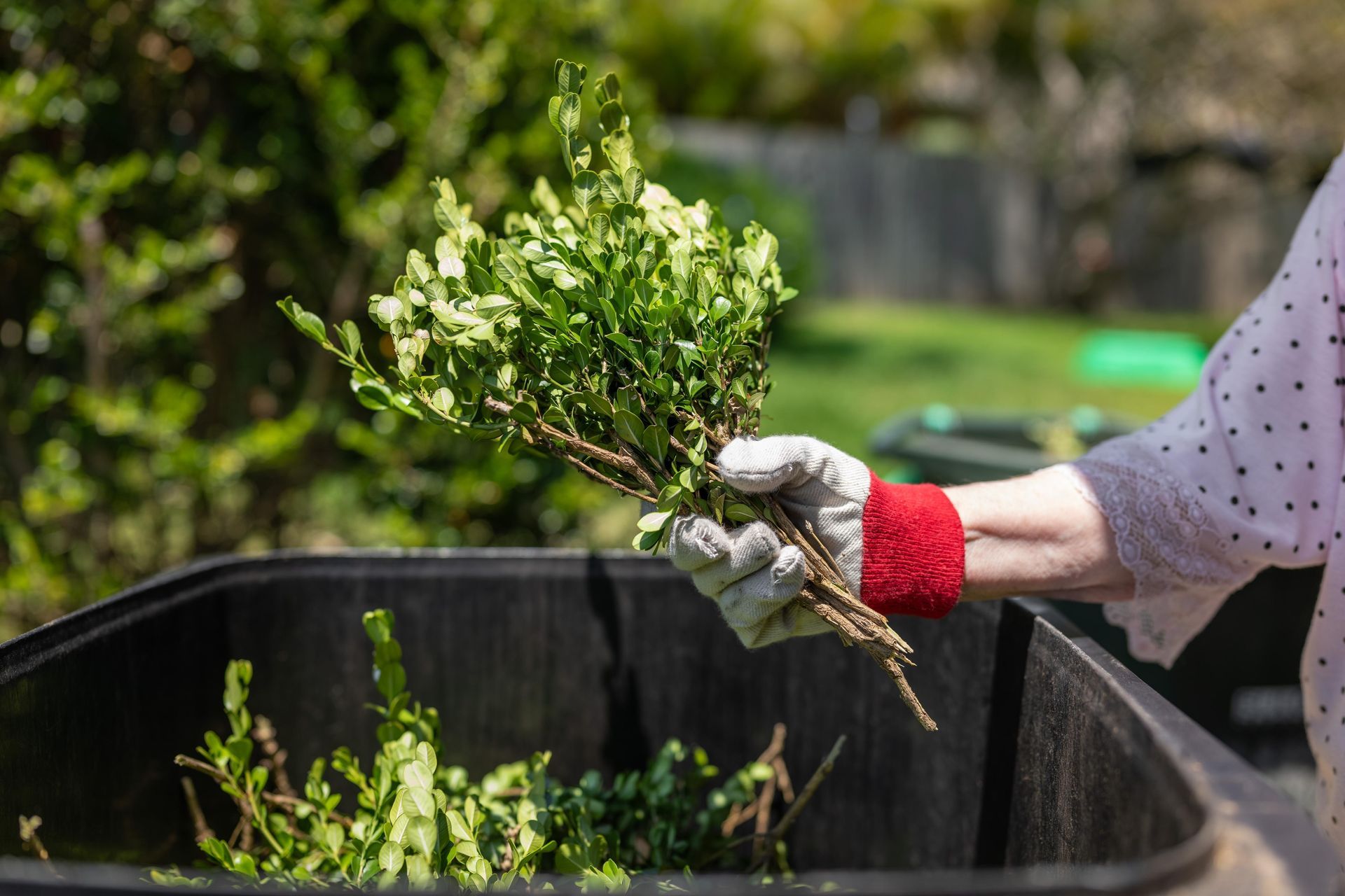 Person in garden gloves placing trimmed green branches into a black bin.