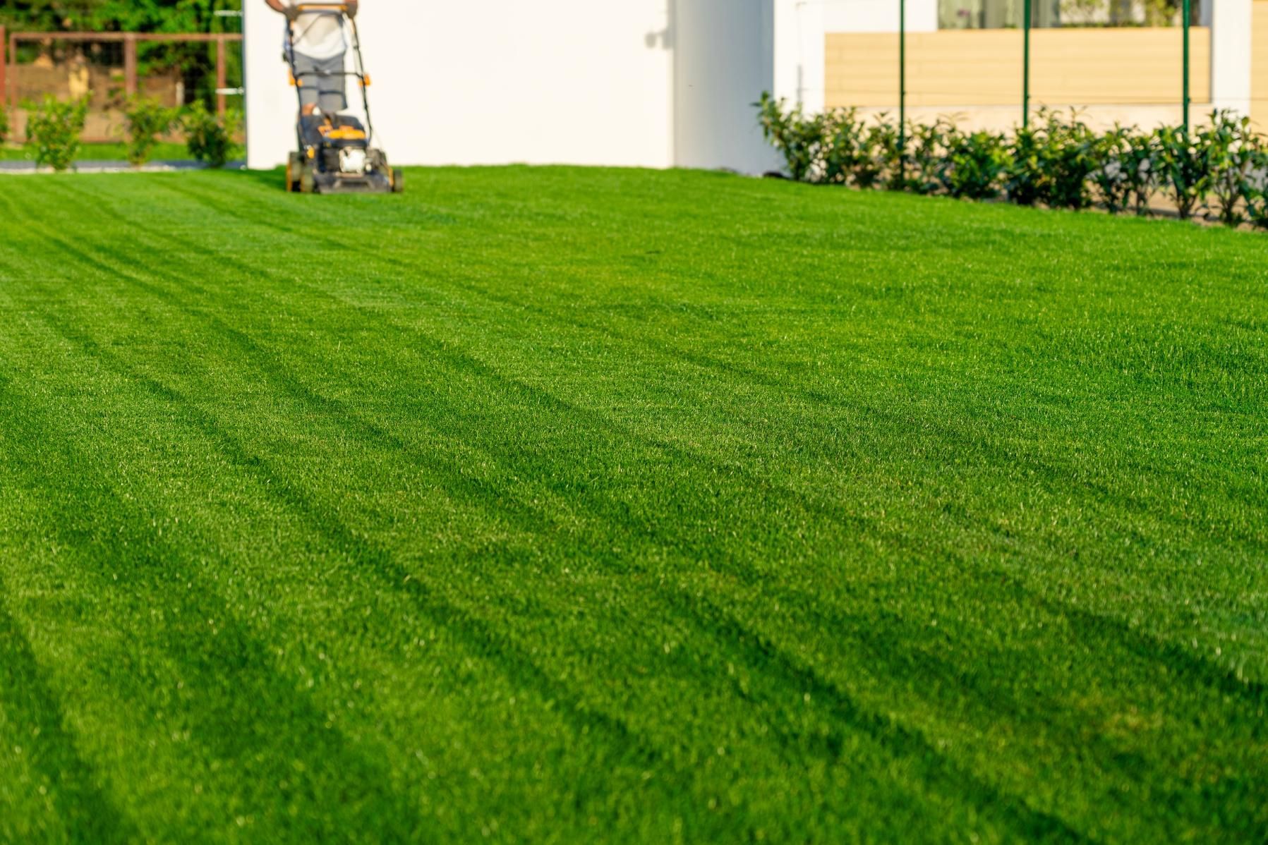 Person mowing a vibrant green lawn with visible stripes in front of a white building.