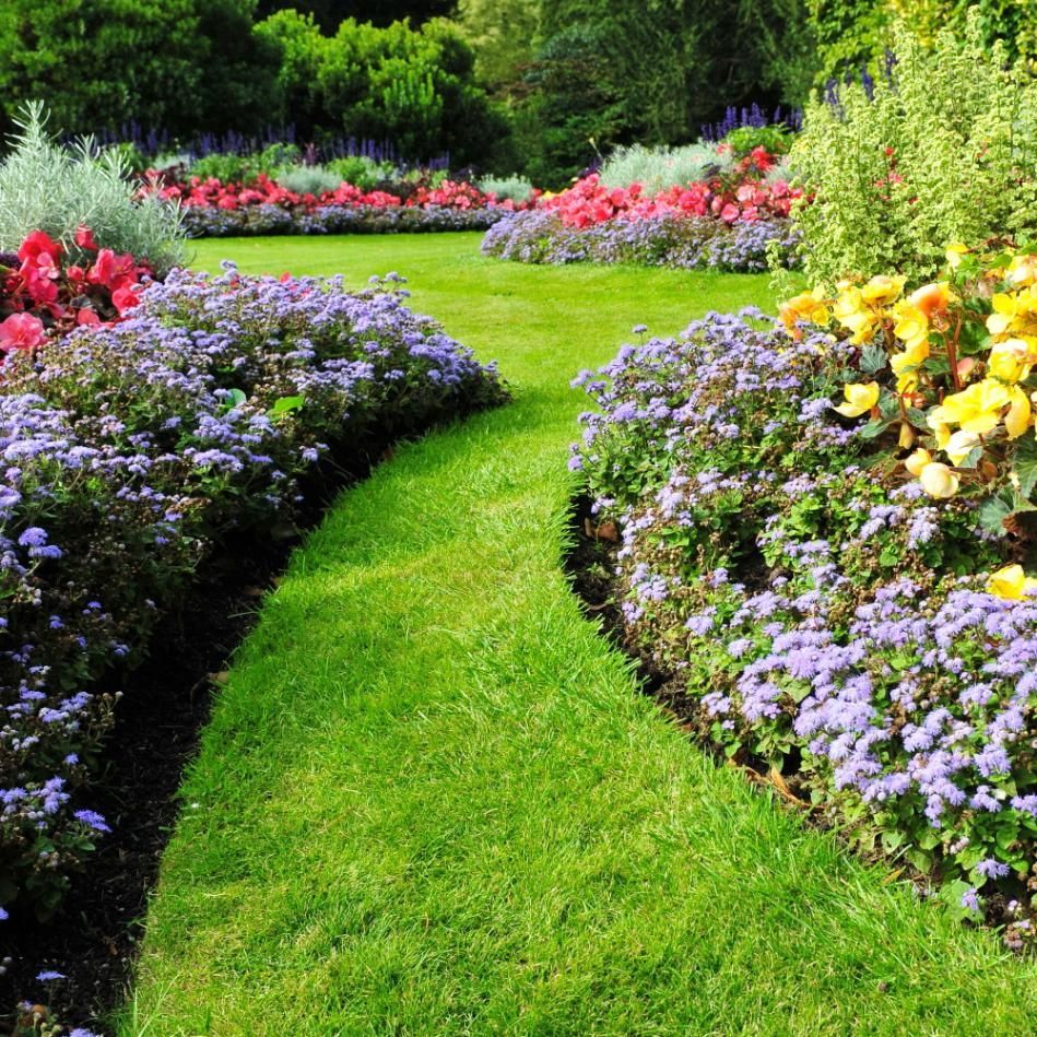 Lush green grass path winding through a garden bed of colorful blooming flowers.