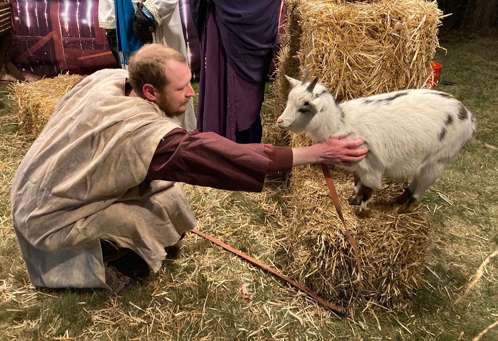 A man is petting a small white goat in a nativity scene.