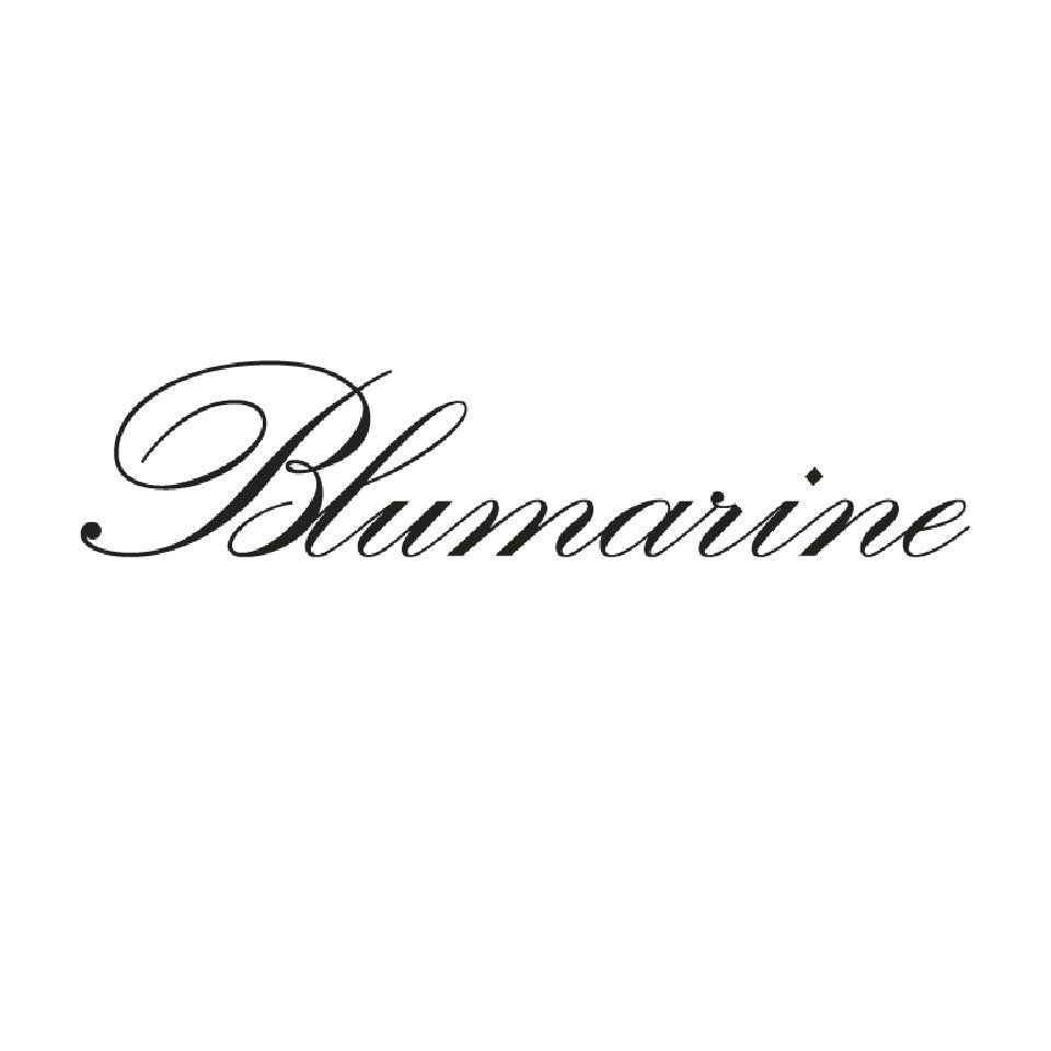 Bluemarine logo
