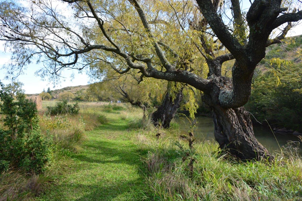 Wakkerstroom Accommodation 007