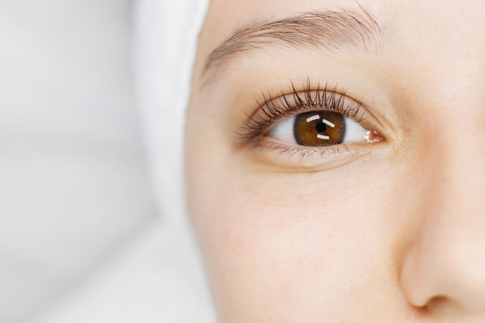 A close up of a woman 's brown eye with long eyelashes.