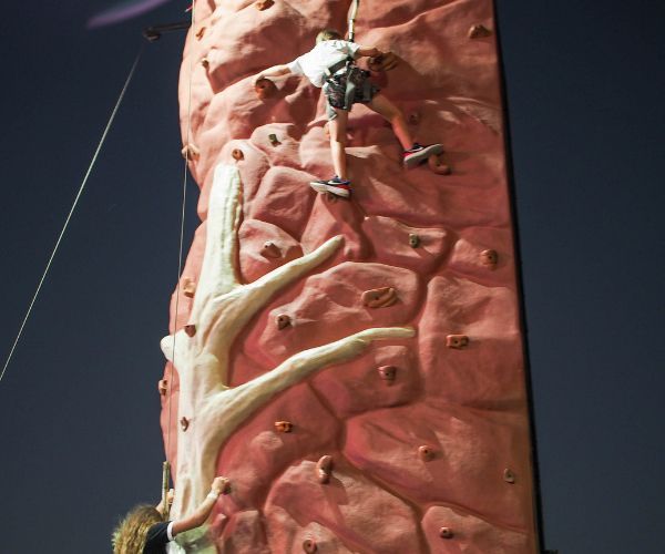 Rock Climbing Wall — AMP Amusements In Rockhampton, QLD