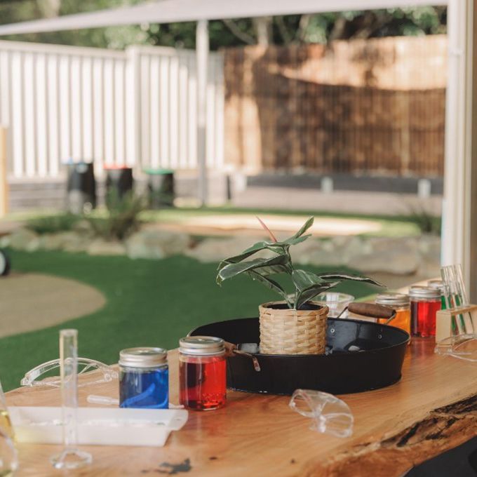 Blackbutt — Shell Heights, NSW — Junior Einsteins