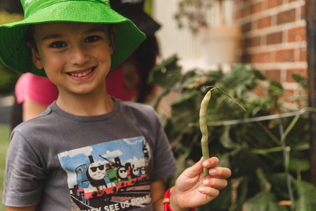 A young boy wearing a green hat is holding a green bean.