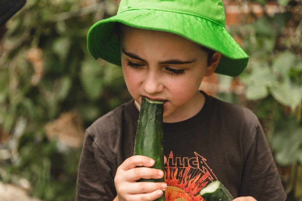 A young boy wearing a green hat is eating a cucumber.