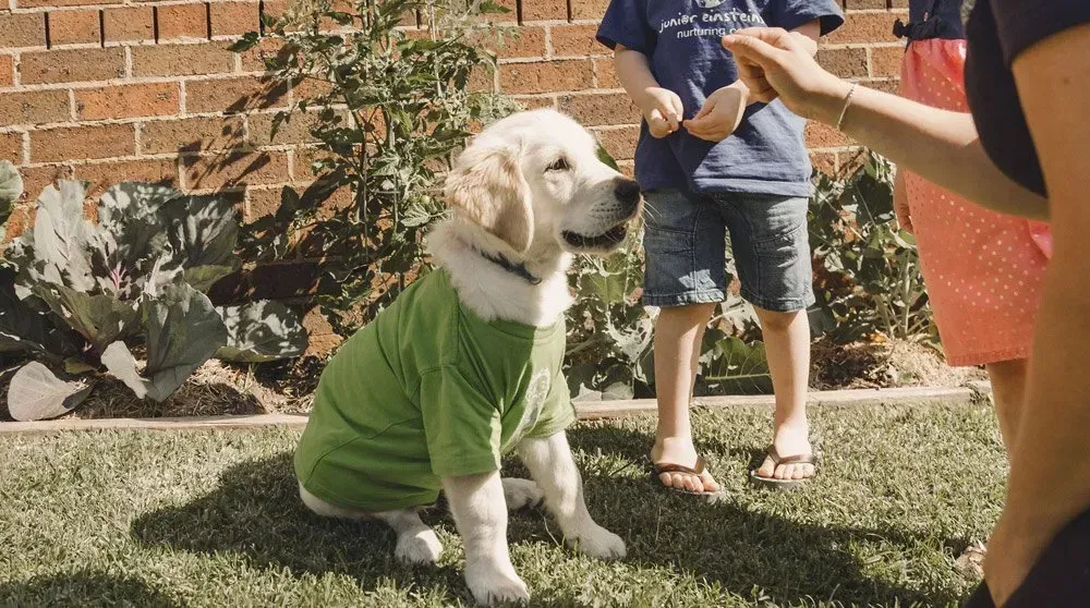 Junior Vet-Care Program — Shell Heights, NSW — Junior Einsteins