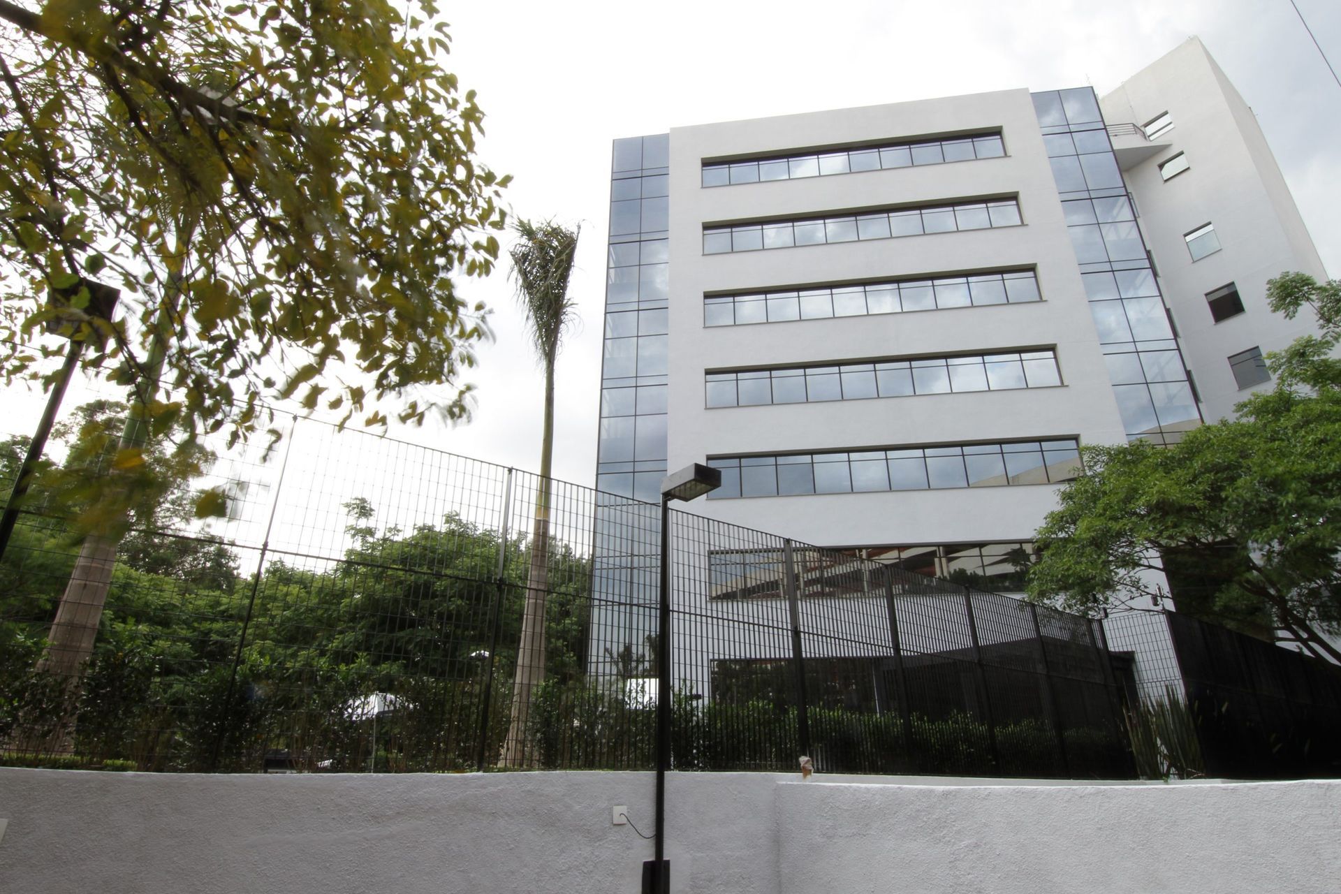 Um prédio alto com muitas janelas é cercado por árvores