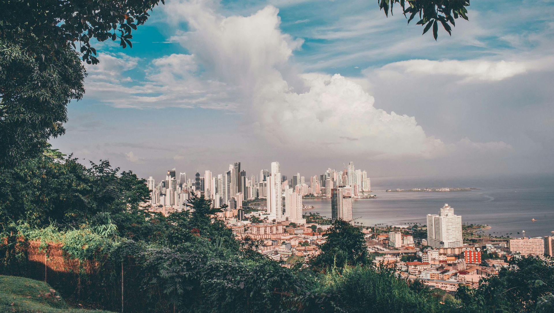 City skyline with white skyscrapers against a cloudy sky, viewed from a lush, green hillside, near the ocean.