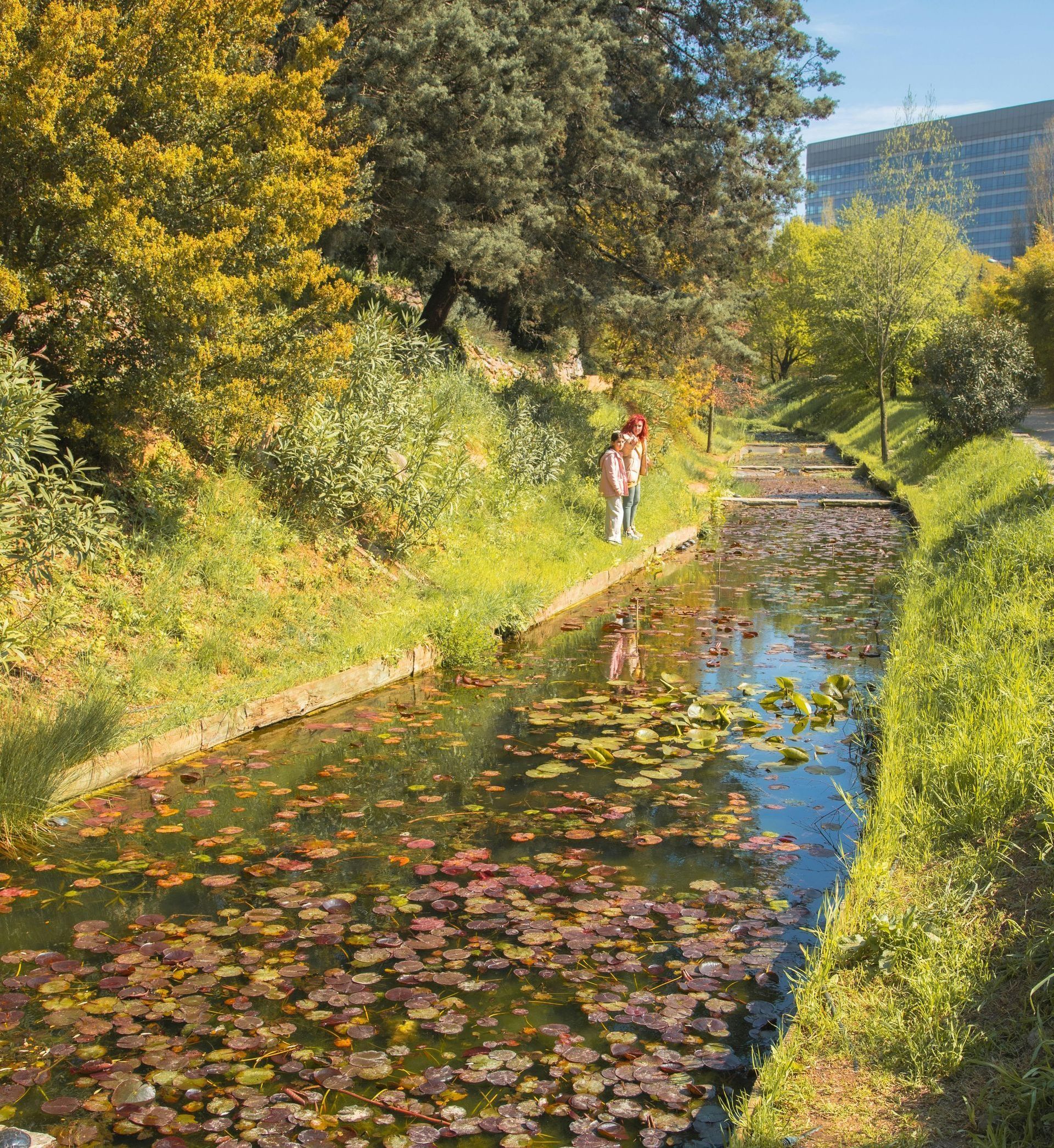 A person is walking along a path next to a river surrounded by trees.