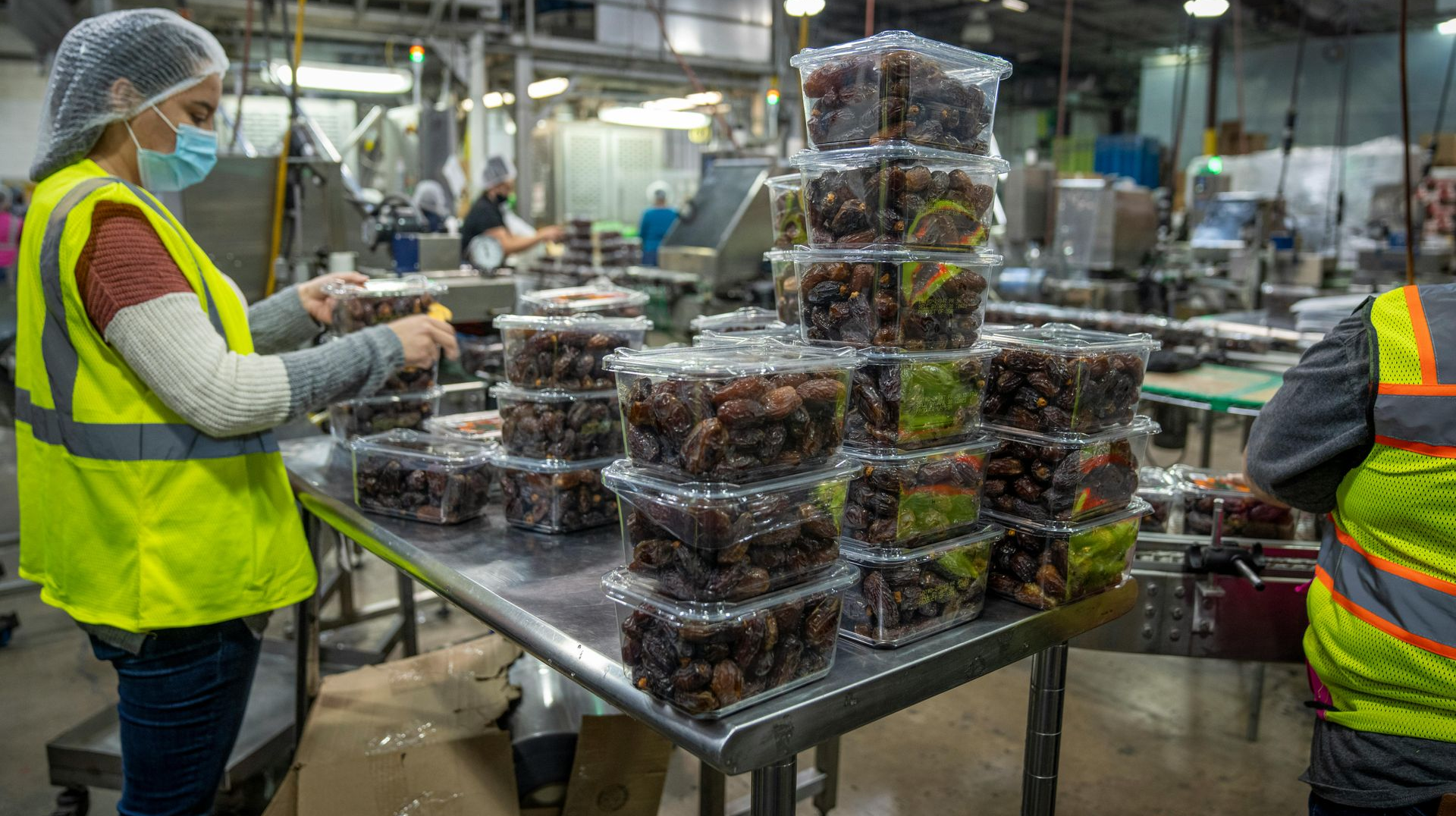 Workers packaging dates in a food processing facility, wearing hairnets and masks. Stacks of containers on a stainless steel table.