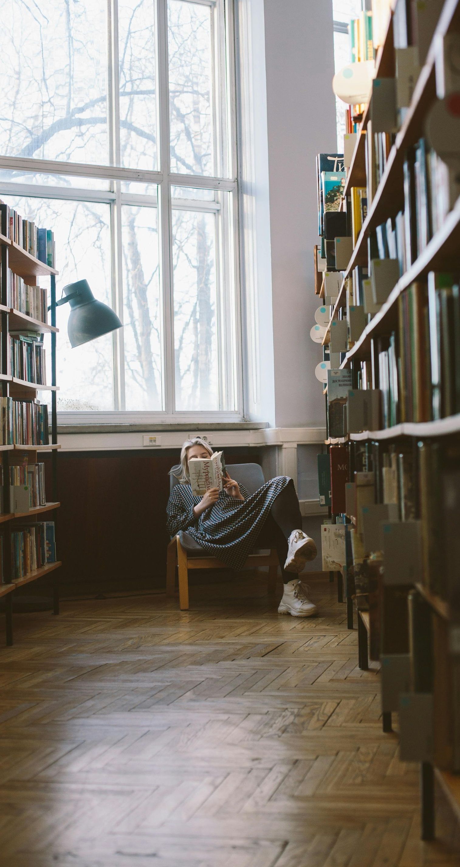 Person reading a book in a library, seated by a large window. Bookshelves line the walls, and a lamp is nearby.