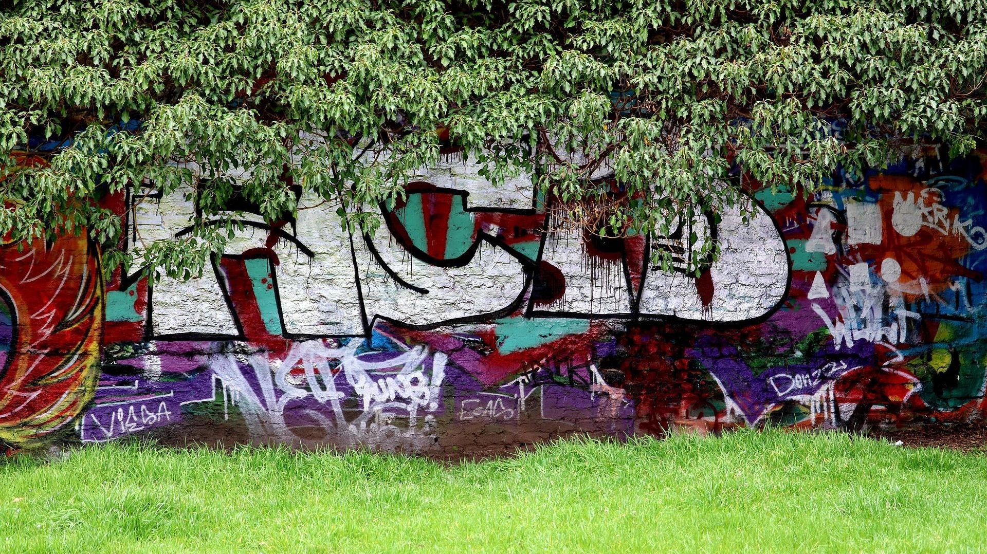 A wall with graffiti on it and a tree in the background.