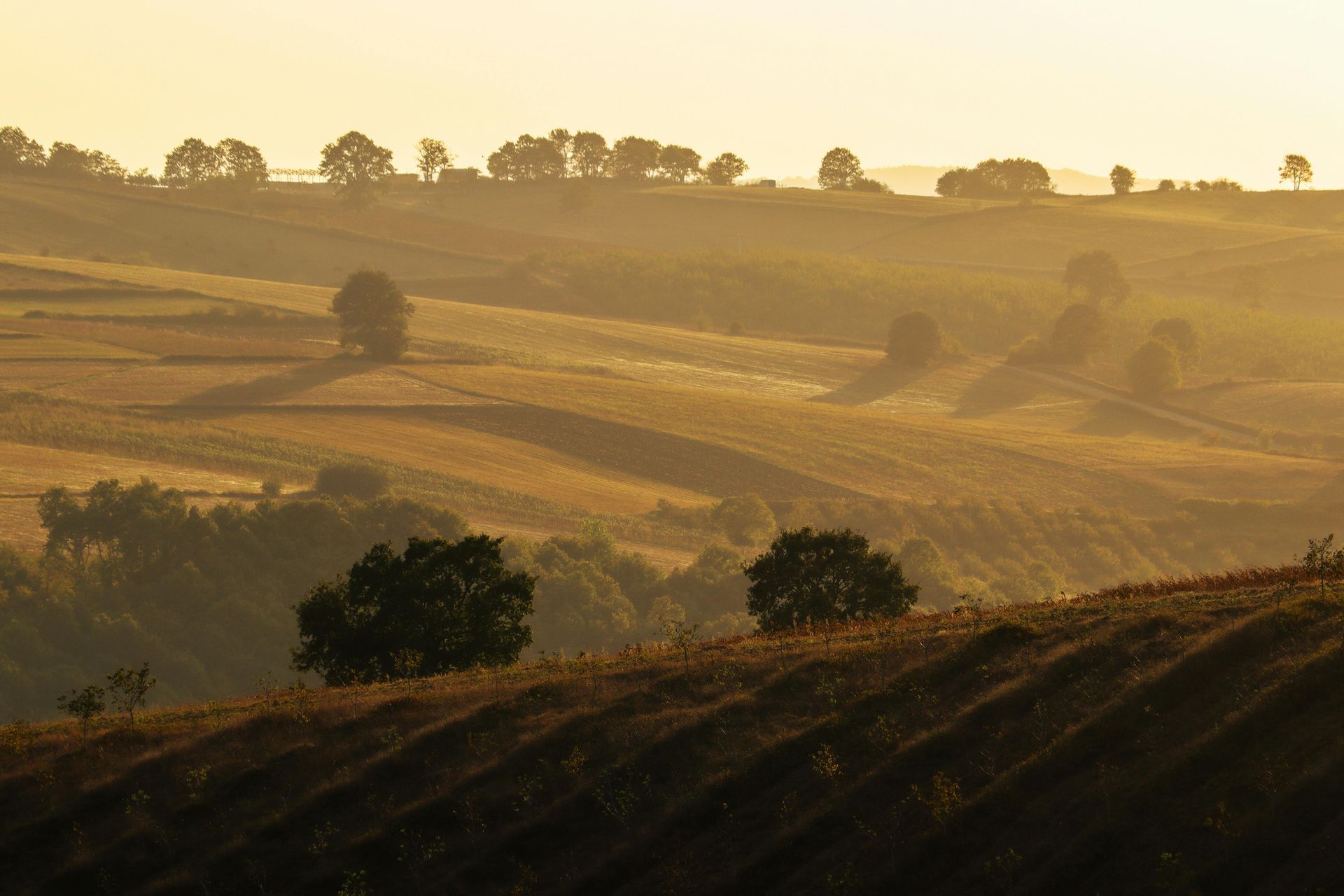 A sunset over a lush green field with trees in the foreground.