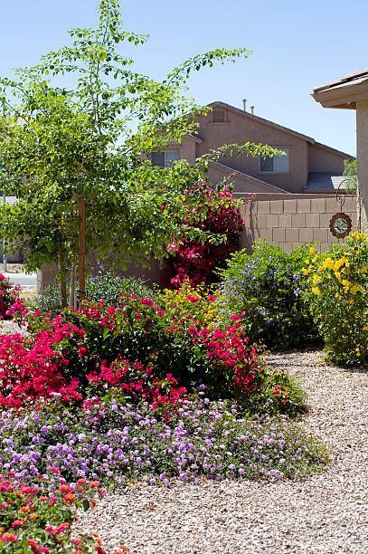 A large house with a large lawn in front of it surrounded by trees.