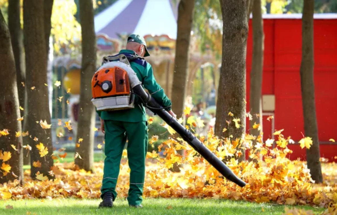 Worker using a leaf blower to clear autumn leaves in the park.