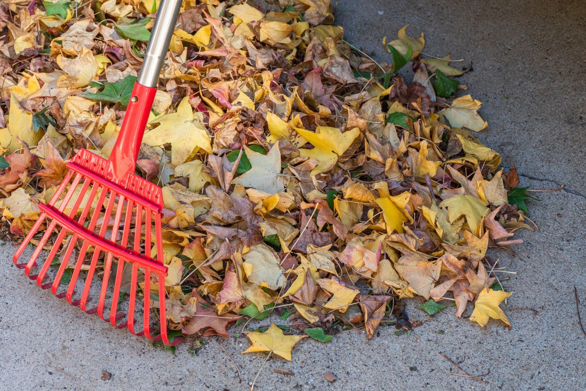 Person using a red rake to clean up fallen leaves in a yard during autumn.