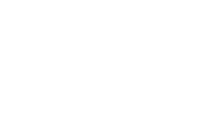 Logo Ydor Experience footer