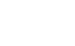 Logo Ydor Experience